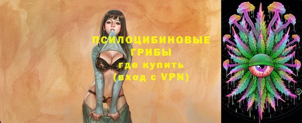 сатива Белоозёрский