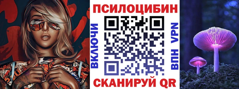 Купить закладки  Острогожск  Псилоцибиновые грибы Psilocybe 